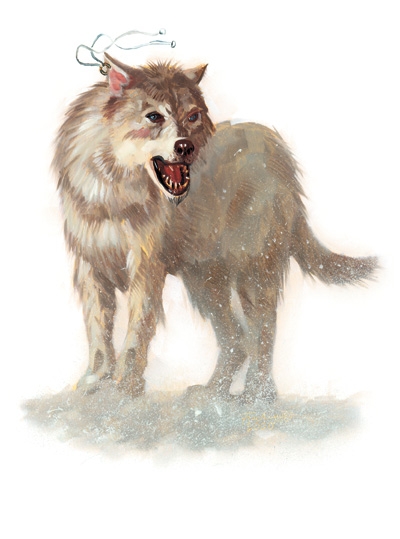  Loup arctique