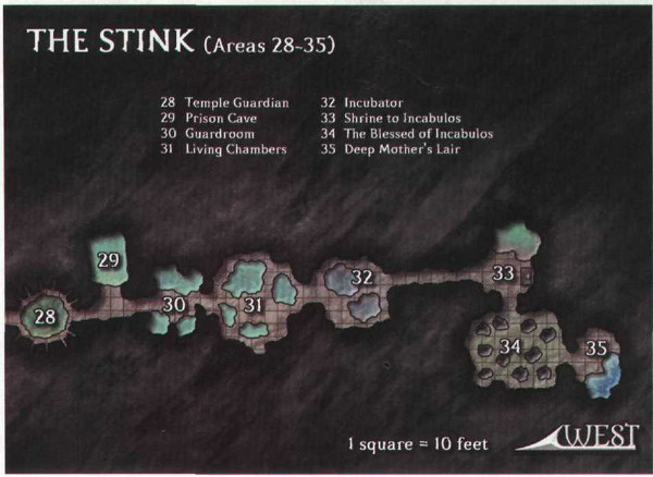 the stink 28-35